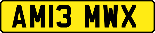 AM13MWX