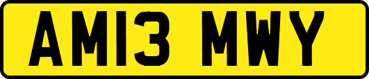 AM13MWY