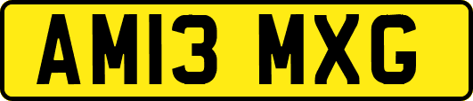 AM13MXG