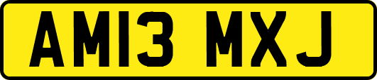 AM13MXJ