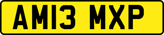 AM13MXP