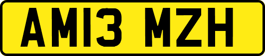 AM13MZH