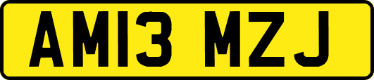 AM13MZJ