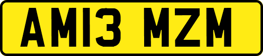 AM13MZM