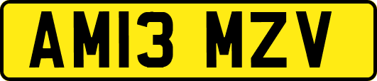 AM13MZV