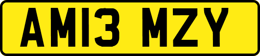AM13MZY