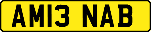 AM13NAB