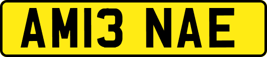 AM13NAE
