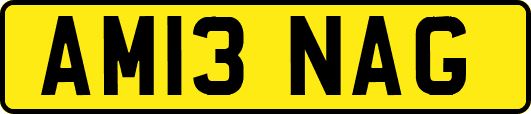 AM13NAG
