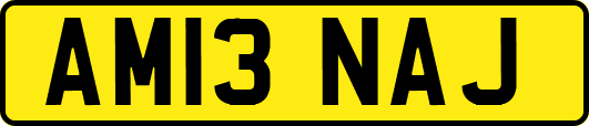 AM13NAJ
