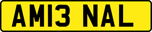 AM13NAL