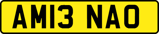 AM13NAO