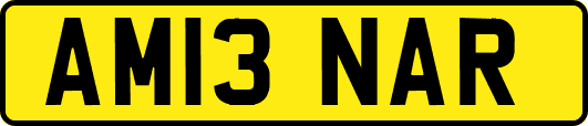 AM13NAR