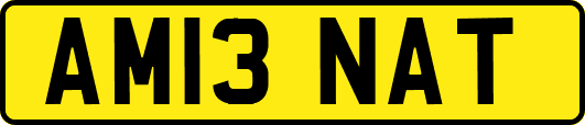 AM13NAT