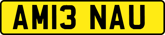 AM13NAU