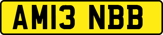 AM13NBB