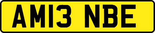 AM13NBE