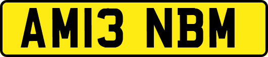 AM13NBM