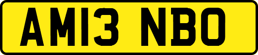 AM13NBO