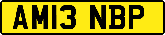 AM13NBP