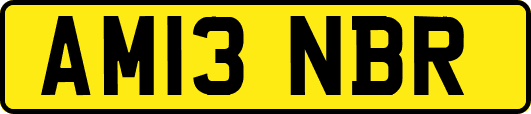 AM13NBR