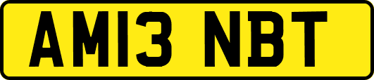 AM13NBT