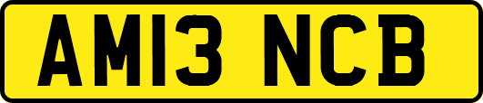 AM13NCB