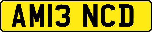 AM13NCD