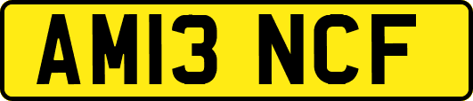 AM13NCF