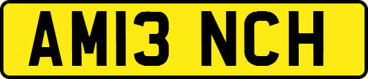 AM13NCH