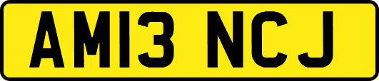 AM13NCJ