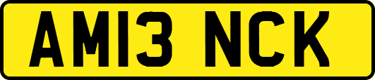 AM13NCK