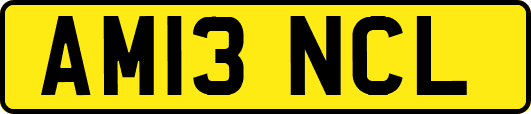 AM13NCL