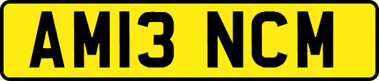 AM13NCM
