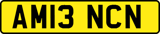 AM13NCN