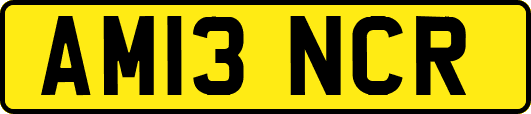 AM13NCR