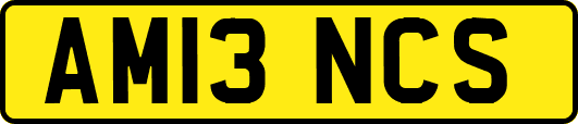 AM13NCS