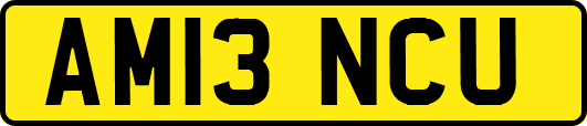 AM13NCU