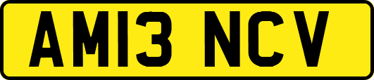 AM13NCV