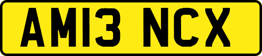 AM13NCX