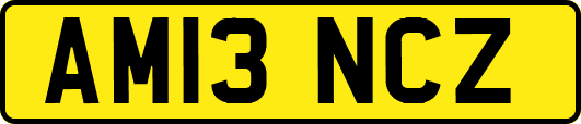 AM13NCZ