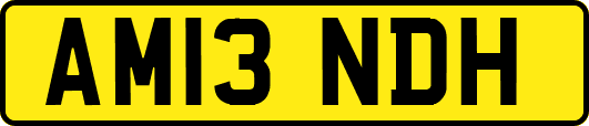 AM13NDH