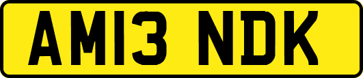 AM13NDK