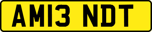 AM13NDT