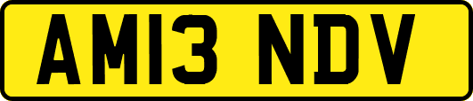 AM13NDV