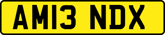 AM13NDX