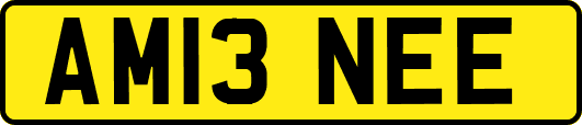 AM13NEE
