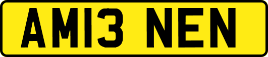 AM13NEN