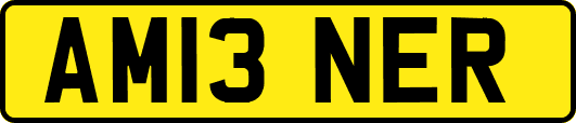 AM13NER