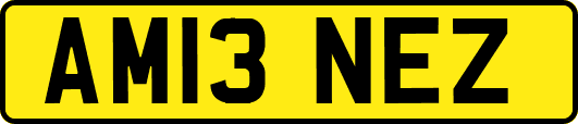 AM13NEZ